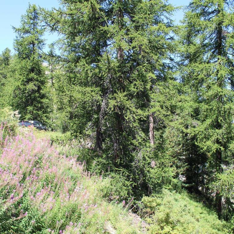 Appartement au cœur de Vars les Claux, 2 pièces, 4 couchages, proche pistes et commerces - FR-1-330B-129 - Apartment (4 Adults) - 17