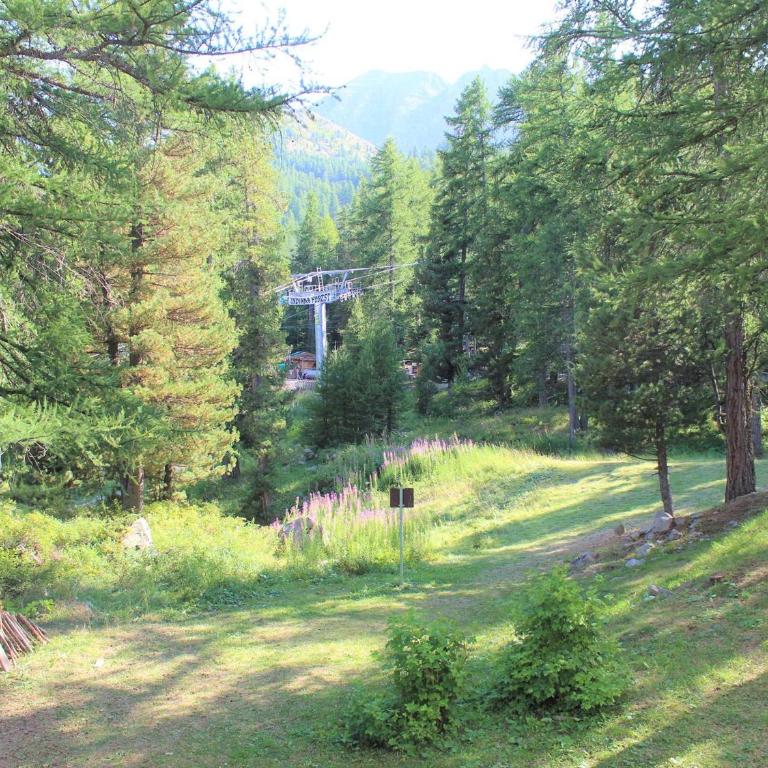 Studio cosy à Vars Les Claux, accès direct aux pistes, balcon sud - FR-1-330B-131 - Apartamento (2 adultos) - 13