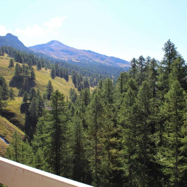 Studio coin montagne 4 pers à 200m des pistes à Vars - FR-1-330B-97 - Apartment (4 Adults) - 15