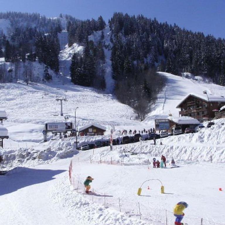 Appartement cosy 4 pers, skis aux pieds, balcon, parking, 2 étoiles - Location dim. à dim. en hiver - Appartement 1 Chambre - 10