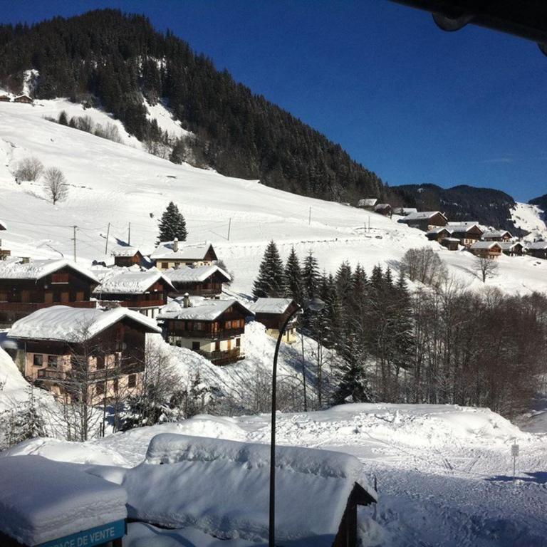 Appartement cosy 4 pers, skis aux pieds, balcon, parking, 2 étoiles - Location dim. à dim. en hiver - Appartement 1 Chambre - 11
