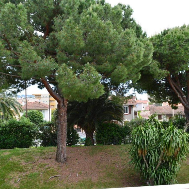 T2 avec piscine et salle de sport, à 400m de la plage, parking inclus - Golfe-Juan - FR-1-252-140 - Appartement (4 Adultes) - 12