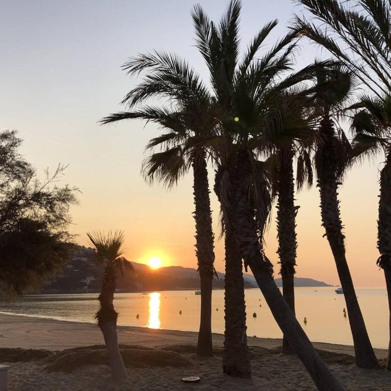 Appartement T2 avec Terrasse Sud, Climatisé, à Proximité Plage - Le Lavandou - FR-1-251-295 - Appartement (4 Adultes) - 11