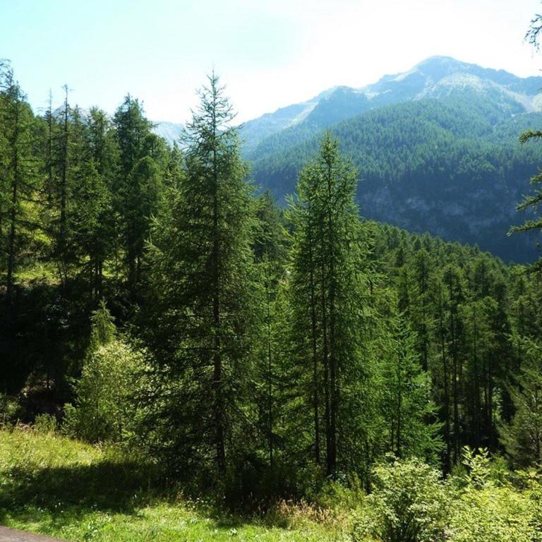 Studio cosy pour 4 pers. aux Orres, proche pistes, balcon exposé sud - FR-1-322-326 - Estudio - 7
