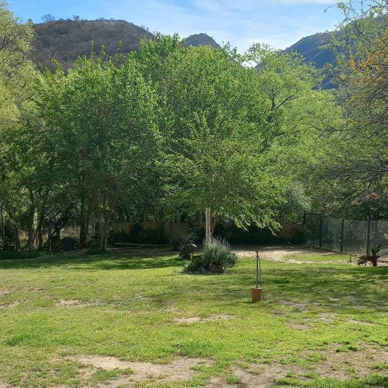 La Chelca - Chalet de 2 dormitorios - 22