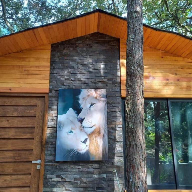 Cabaña Nala de lujo para parejas - Chalet de 1 dormitorio - 1