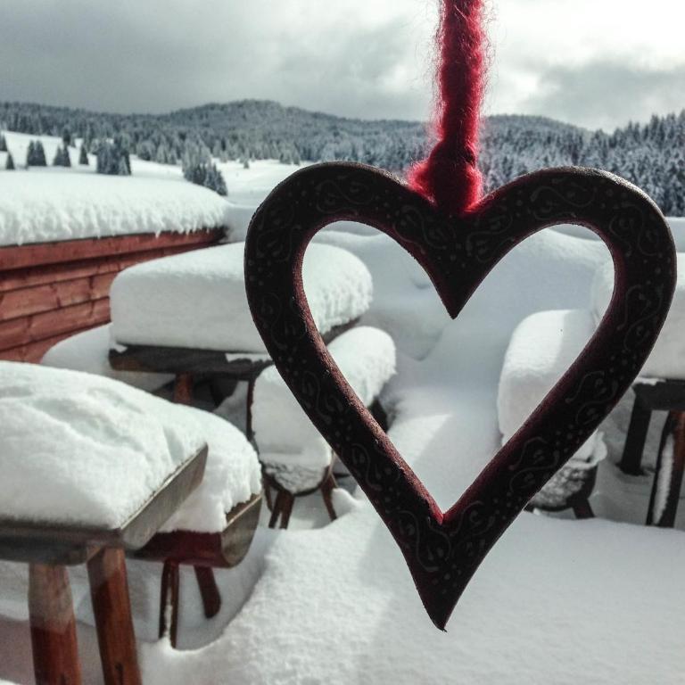 Malga Millegrobbe Nordic Resort - Familienzimmer mit Bergblick (2-4 Erwachsene) - 3
