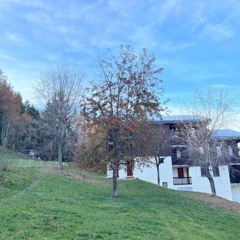 Superbe Appartement à Montchavin - Appartement 3 Chambres - 46