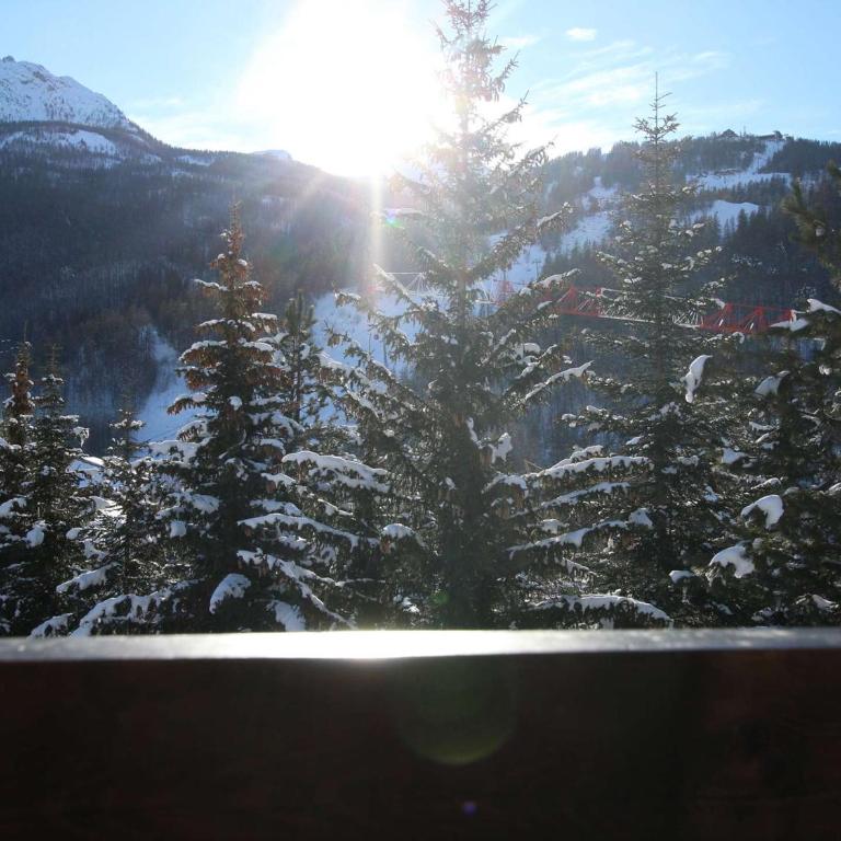 Appartement 6 Pers. avec Balcon, Proche Navette et Parking Gratuit à Serre-Chevalier - Appartement 1 Chambre - 19