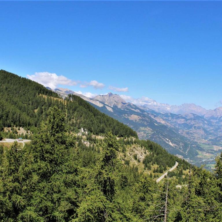 Appartement 3 pièces à Risoul 1850 avec balcon et animaux admis - FR-1-330-241 - Appartement (6 Adultes) - 14