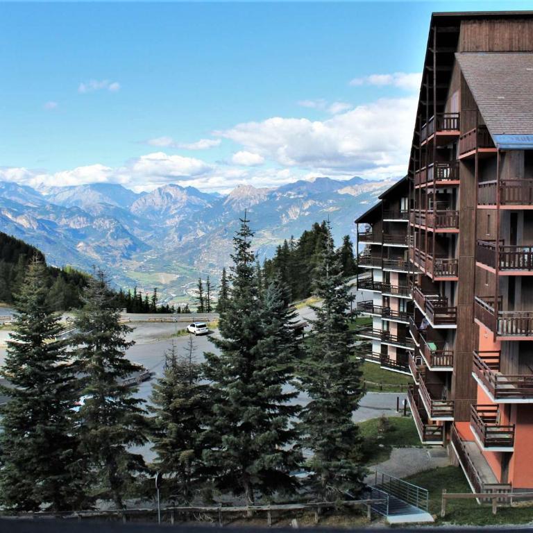 Studio cabine 4 pers, pied de pistes, animaux acceptés – Risoul 1850 - Appartement 1 Chambre - 16