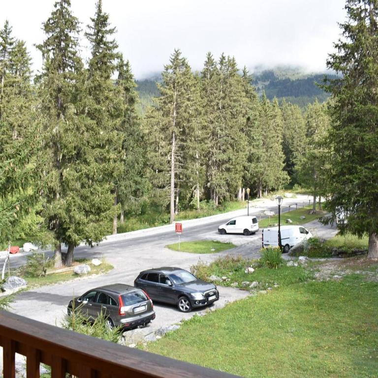 Studio cosy à Méribel, à 20m des pistes, avec balcon, casier à ski et accès facile aux navettes - FR-1-180-333 - Appartement (4 Adultes) - 14