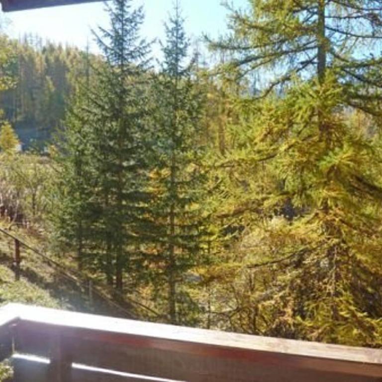 Studio confortable au centre des Orres, balcon, pour 4 personnes - FR-1-322-215 - Appartement (4 Adultes) - 8