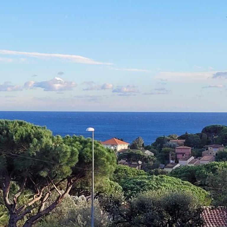 Villa Palm' Issambres 6 personnes, clim, avec piscine, jardin et parking privés - Villa 3 Chambres - 17