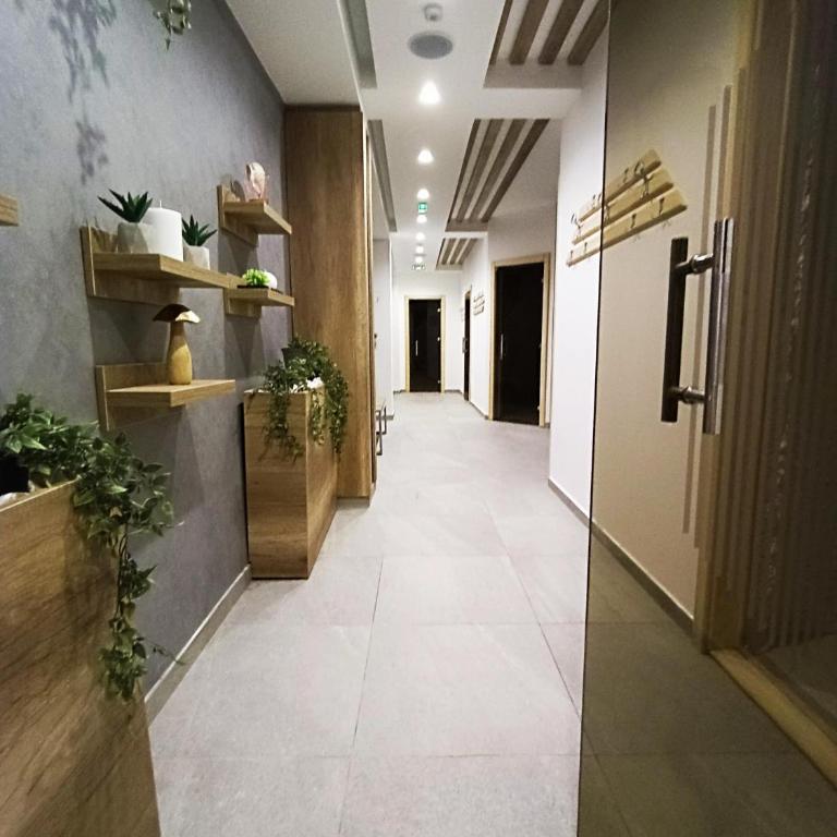 President KOP A515 - One-Bedroom Apartment - 47