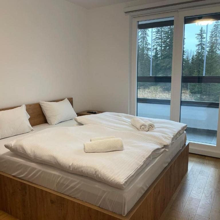 V5 Apartments - One-Bedroom Apartment - 6