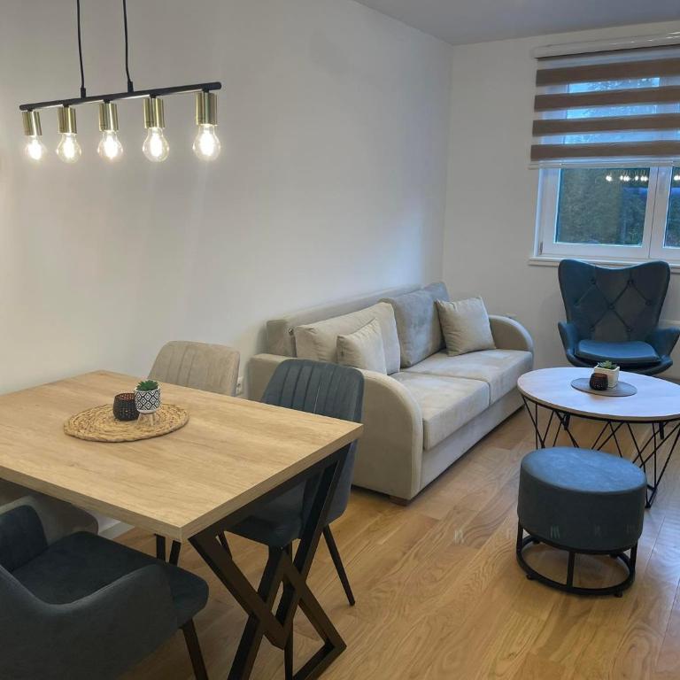 V5 Apartments - One-Bedroom Apartment - 6