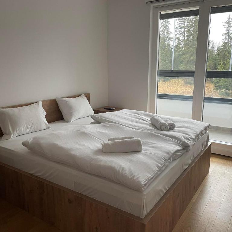 V5 Apartments - One-Bedroom Apartment - 8
