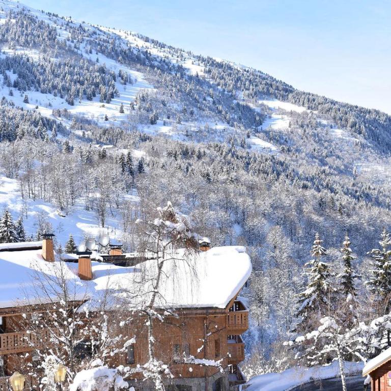 Appartement cosy 8 pers. Méribel Centre, proche pistes, internet inclus - FR-1-180-184 - Appartement (8 Adultes) - 21