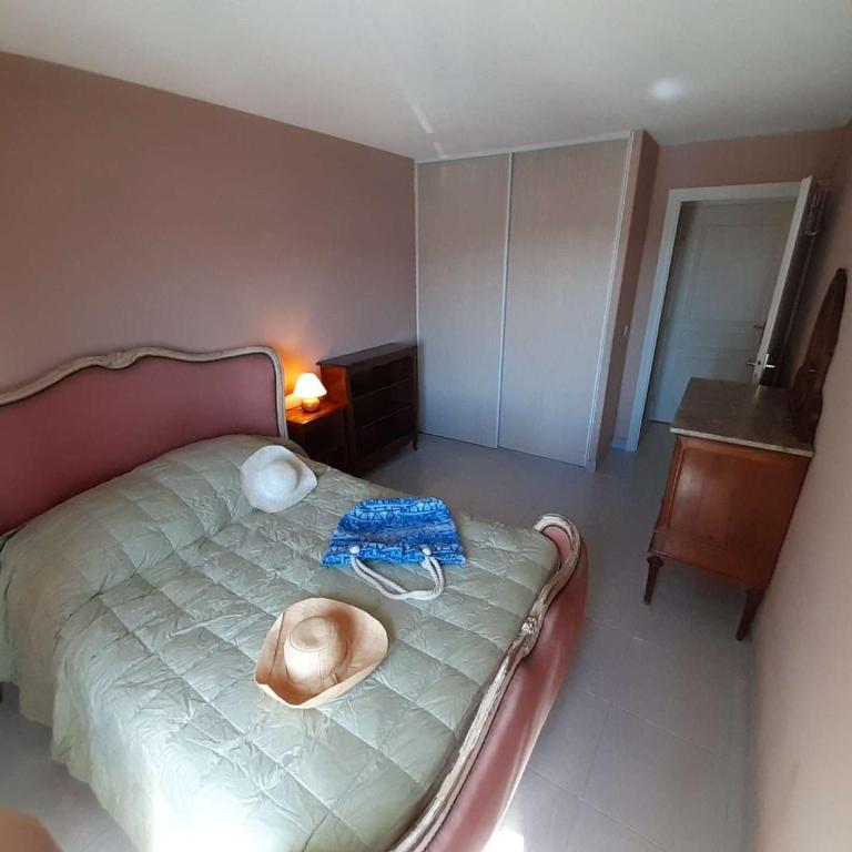Appartement 2 pièces avec terrasse et parking, proche thalassothérapie - FR-1-226A-29 - Appartamento (4 Adulti) - 8