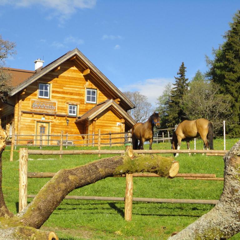 Ferienhaus Bichlhütte - Casa con 4 camere da letto - 10