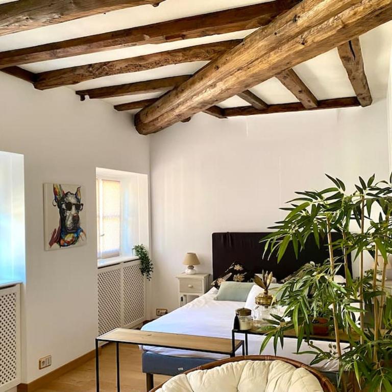 Le Roseau - en plein coeur historique - Appartement 1 Chambre - 11