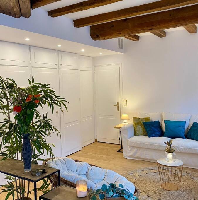 Le Roseau - en plein coeur historique - Appartement 1 Chambre - 15