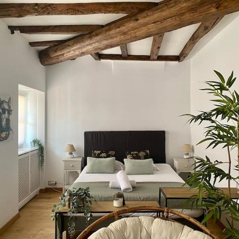 Le Roseau - en plein coeur historique - Appartement 1 Chambre - 16
