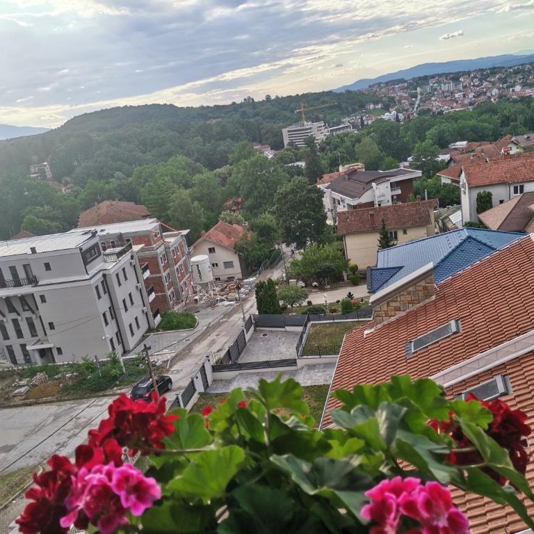 APARTMANI CEPERKOVIC - Apartment - Ground Floor - 20