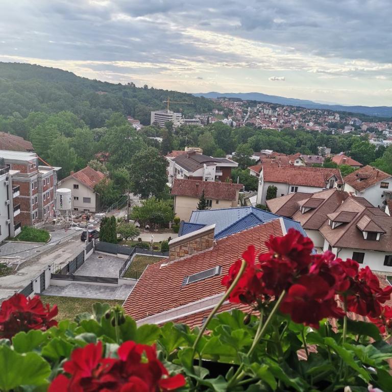 APARTMANI CEPERKOVIC - Apartment - Ground Floor - 21