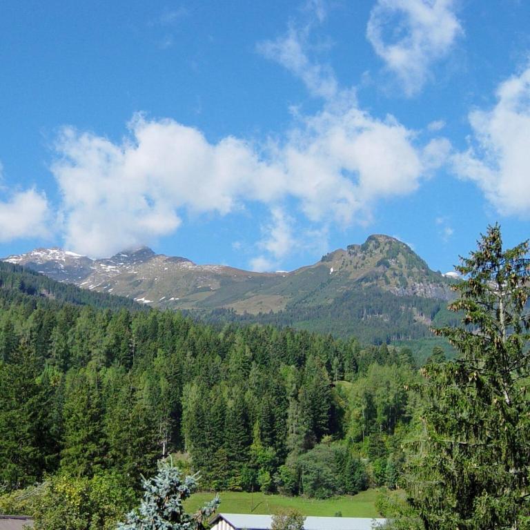 Appartementhaus Lafenthaler mit kostenlosem Eintritt in Alpentherme - Studio - 16