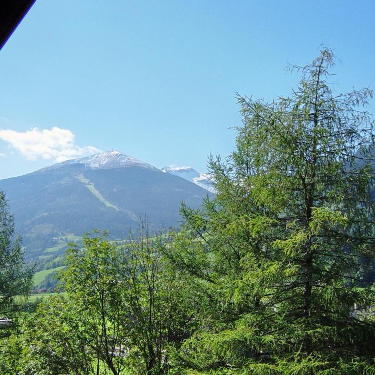 Appartementhaus Lafenthaler mit kostenlosem Eintritt in Alpentherme - Studio - 17