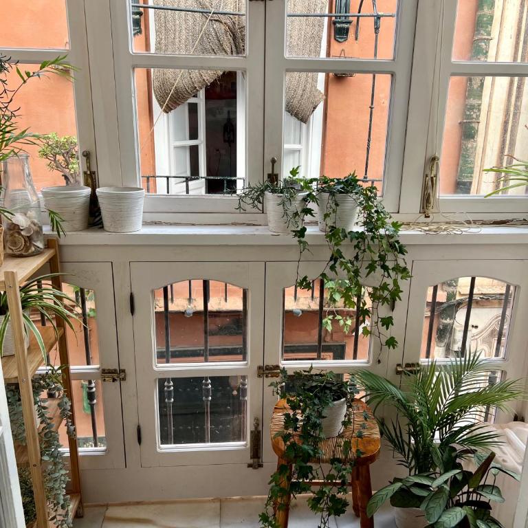 iYOURBASICS Great Apartment Hinestrosa 23 FREE WIFI&AC - Apartamento de 2 dormitorios - 7