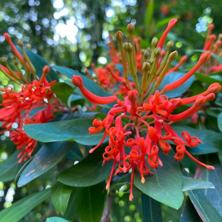 Casa de Montaña La Cecilia - Casa de 5 dormitorios - 13