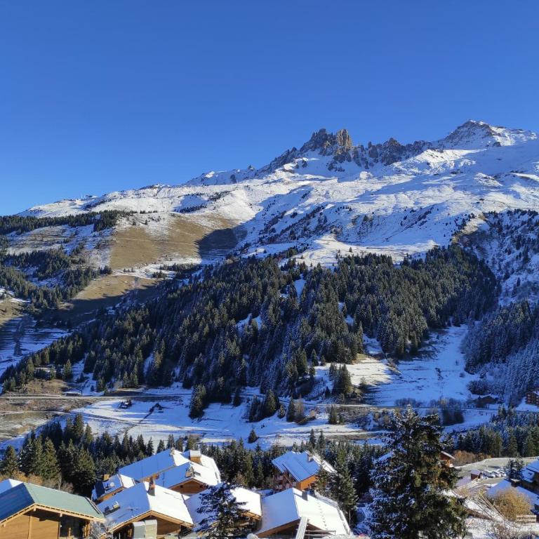 Appartement 3 étoiles avec balcon, vue montagne à Méribel Mottaret - Two-Bedroom Apartment - 11