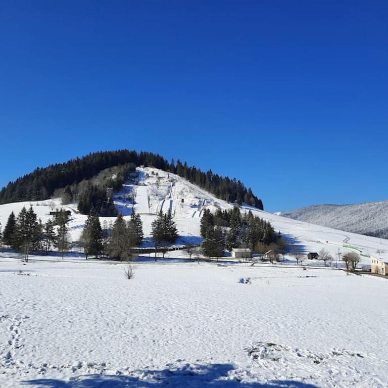 le face au tremplin Appartement 5 pers entièrement rénové dec 2022 classé meublé de tourisme 3 étoiles emplacement unique a Autrans proche du village prestations de qualité - Appartement 2 Chambres - 5