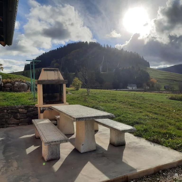 le face au tremplin Appartement 5 pers entièrement rénové dec 2022 classé meublé de tourisme 3 étoiles emplacement unique a Autrans proche du village prestations de qualité - Appartement 2 Chambres - 7