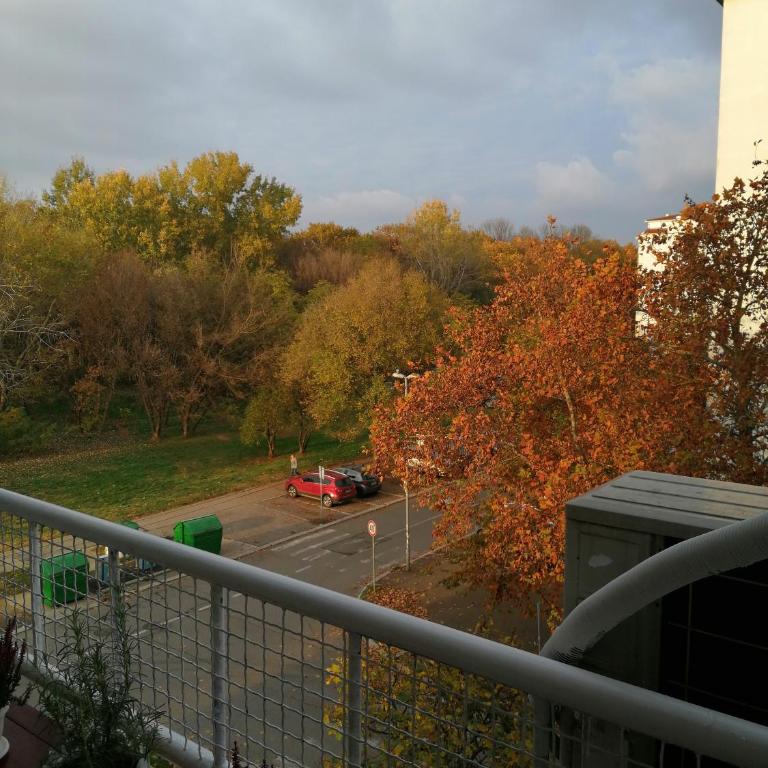 Star Apartment Belgrade - Apartman - 8