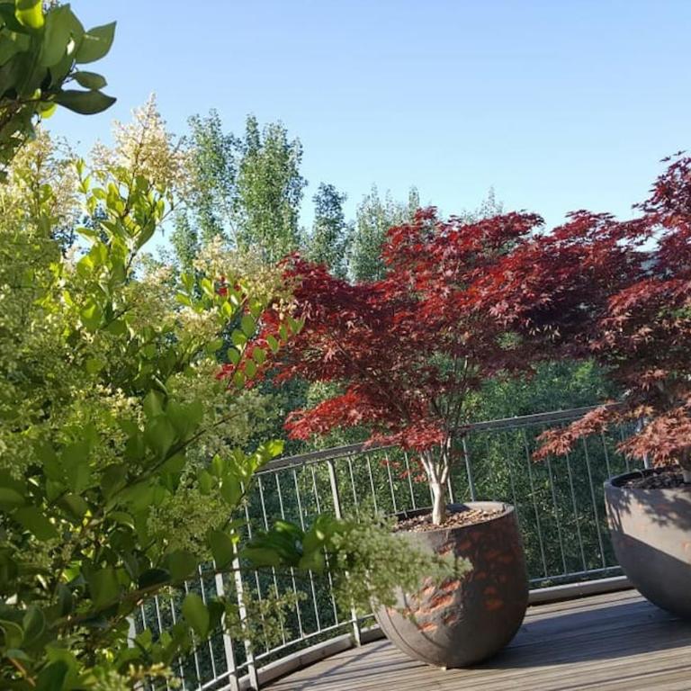 Appartamento vista San Luca con terrazza panoramica - Apartment with Terrace - 10