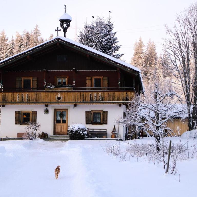 Going Artenreich - Ferienhaus mit Dusche - 24