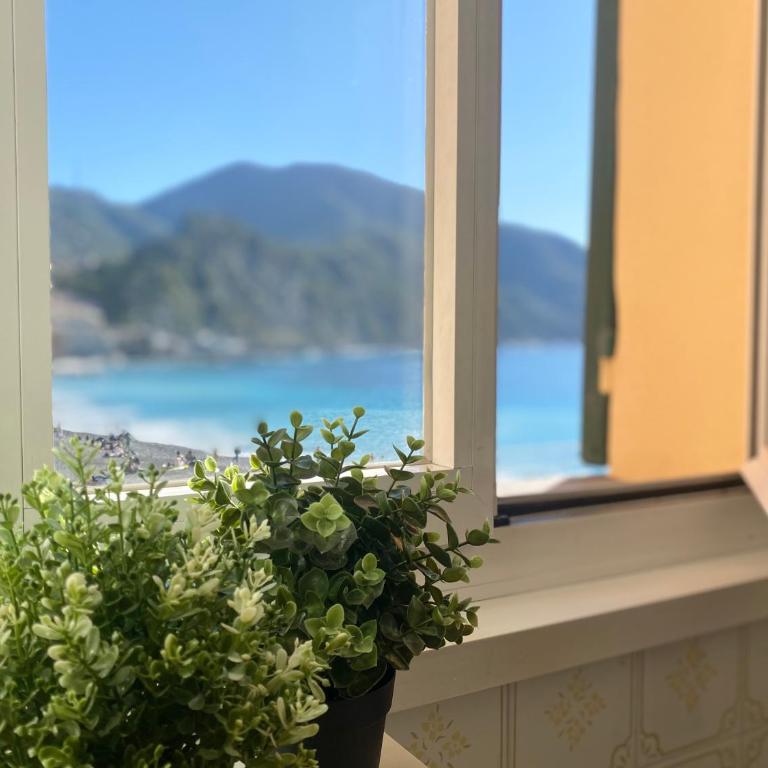 CasaViva - Sweet Bilo on the sea in Camogli - Appartamento con 2 Camere da Letto - 16