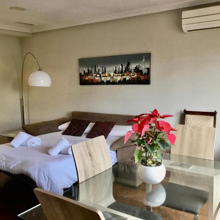 Apartamentos Azafranal-PARKING GRATIS- - Apartamento Deluxe - 23