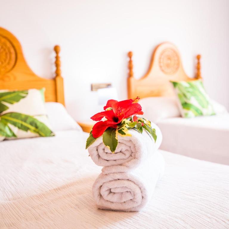 Ideal Property Mallorca - Sa Dalia - Casa - 23
