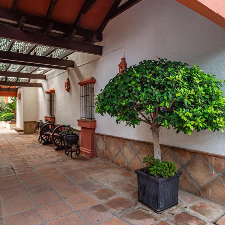 Modern Apartment - 2 Bedrooms, Beachside - Puerto Banús - Apartamento de 2 dormitorios - 28