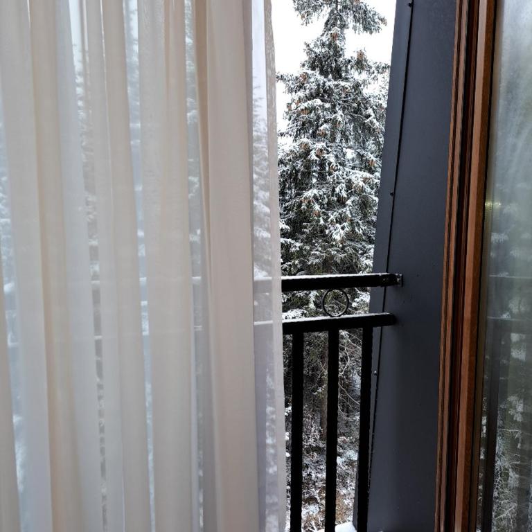 LA FORESTA LUX apartment Jahorina - One-Bedroom Apartment - 7