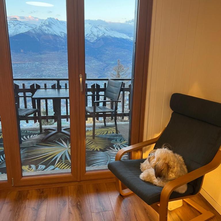 Cosy studio for 4 near ski lift, MELEZES K22 - Studio mit Bergblick - 17