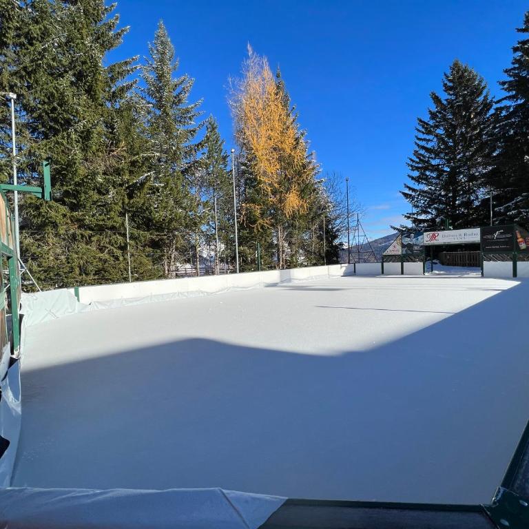 Cosy studio for 5 near ski lift, HAMEAU D2 - Studio with Mountain View - 40