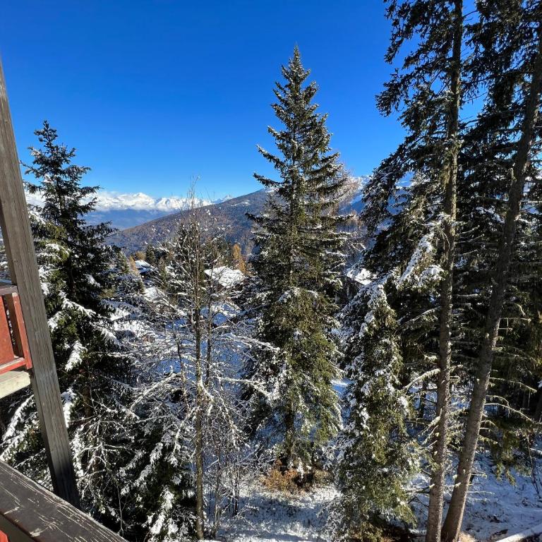 Cosy studio for 5 near ski lift, HAMEAU D2 - Studio with Mountain View - 30