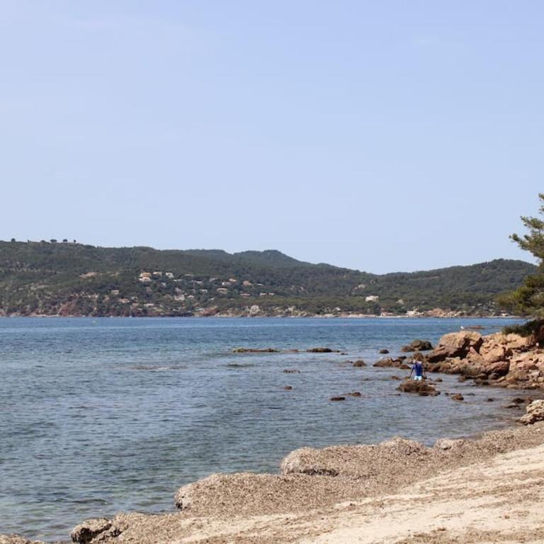 Studio l'Echappée mandréenne le calme entre mer et forêt - Appartamento - 21