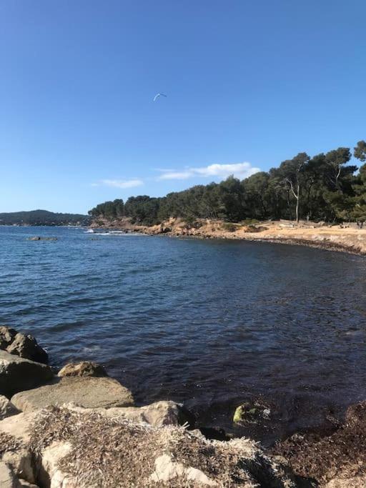Studio l'Echappée mandréenne le calme entre mer et forêt - Appartamento - 22